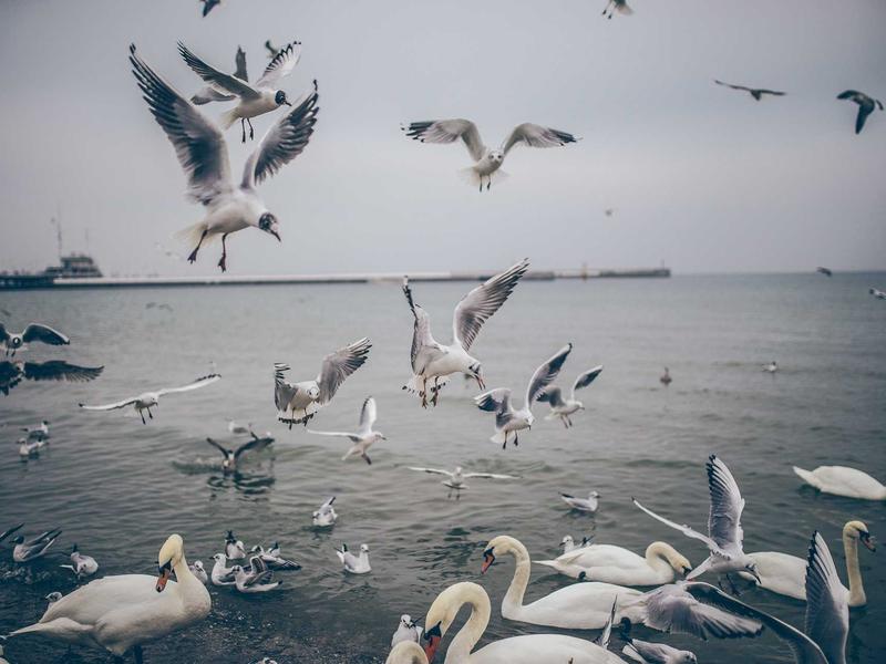 sudoku share puzzle screenshot 4