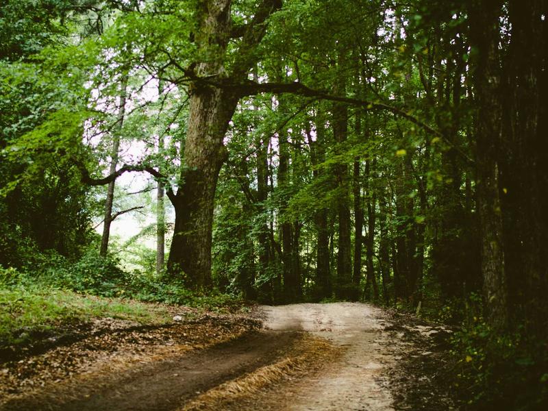 sudoku share puzzle screenshot 3